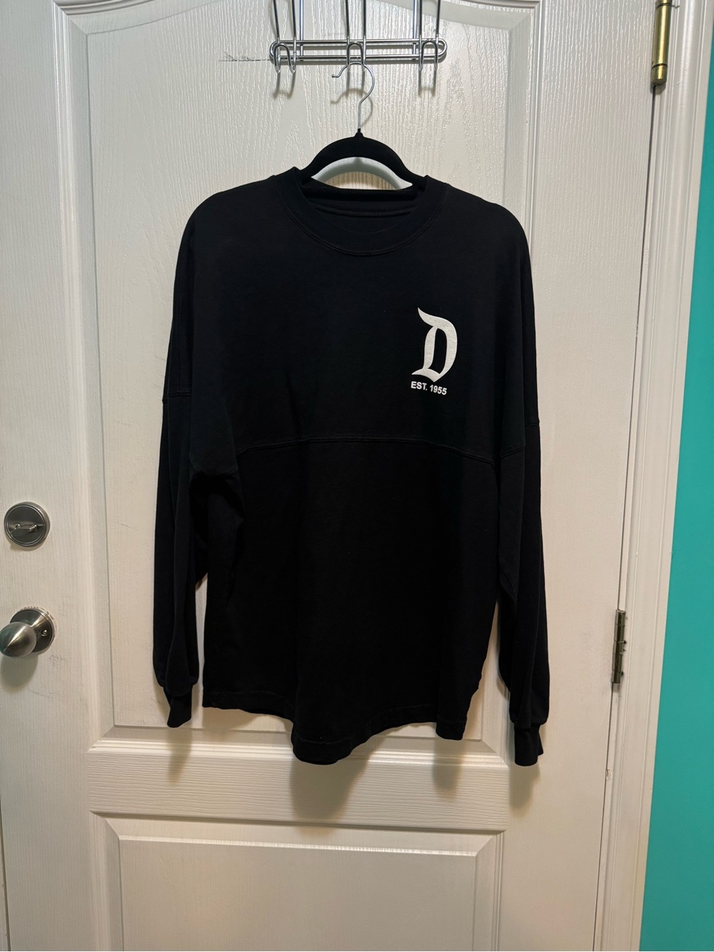 Disneyland Spirit Jersey